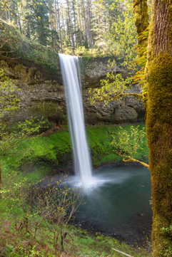 South Falls, part of the Trail of Ten Falls at Silver Falls State Park. Shows a waterfall with greenery around it.