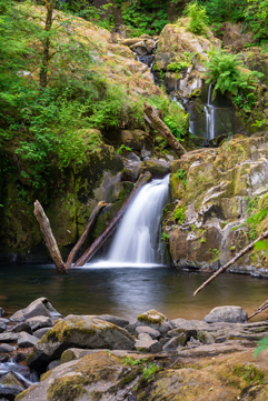 Waterfall in a forest