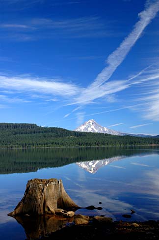 The stump of an old tree sticks up in Timothy Lake and Mt. Hood shows in the distance.