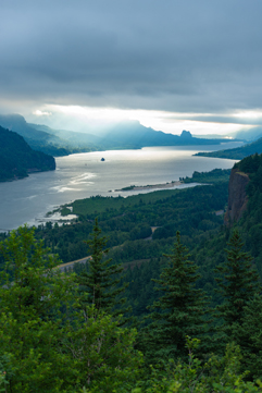 View of the Columbia River from Women's Forum Viewpoint, showing a river winding through a forested valley.