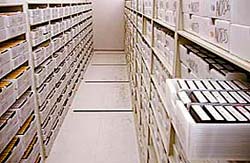 Interior of the State Archives’ secure, climate-controlled vault lined with shelves holding plastic containers or canisters of microfilm.