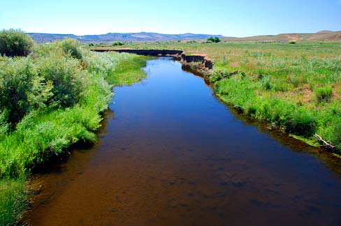 File:Malheur River (Harney County, Oregon scenic images) (harDA0017 ...