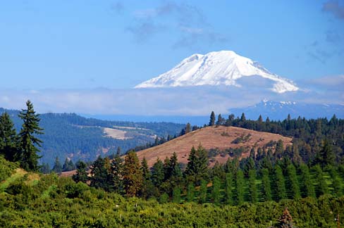 File:Mt. Adams (Hood River County, Oregon scenic images) (hooDA0078 ...