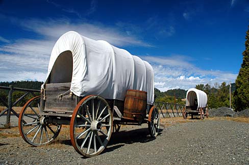 2 covered wagons stnd in a line on a dirt trail.