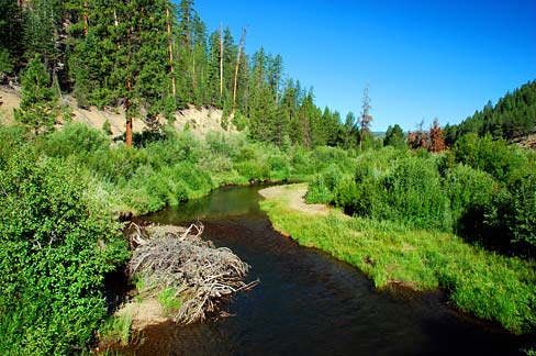 File:Dairy Creek (Lake County, Oregon scenic images) (lakDA0001).jpg ...