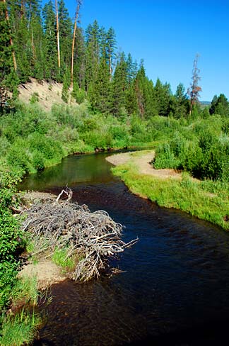 File:Dairy Creek (Lake County, Oregon scenic images) (lakDA0002).jpg ...