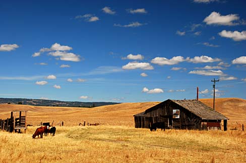 File:Ukiah Area (Umatilla County, Oregon scenic images) (umaDA0166).jpg ...