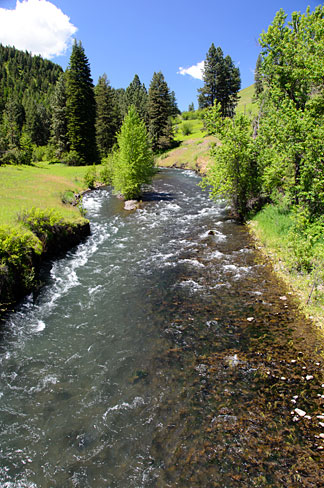 File:Lookingglass Creek (Union County, Oregon scenic images) (uniDB0539 ...