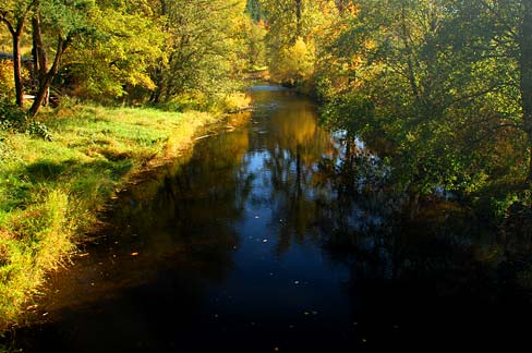 File:Gales Creek (Washington County, Oregon scenic images) (washDA0060a ...