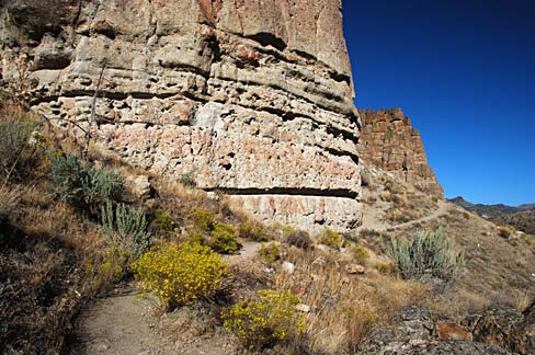 The Clarno Unit of the John Day Fossil Beds National Monument showing a tall rock outcrop with sagebrush and wildflowers below.