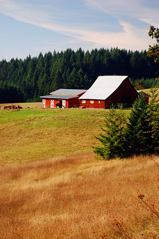 File:Peavine Road Barn (Yamhill County, Oregon scenic images ...