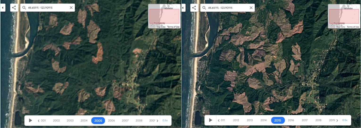 Map from Google Early shows change due to clearcut.