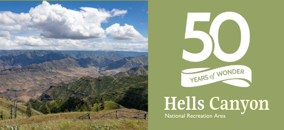 Hells Canyon as viewed from an overlook. 