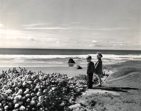 2 children, a boy & a girl, stand near the beach & watch the ocean. Flowering shrubs are seen at their feet.