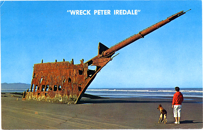 A person & a dog view the rusted wreck of a ship as it sits on a beach. Above are printed the words: "Wreck Peter IreDale"