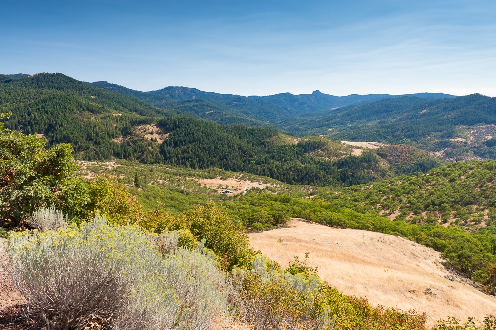 Landscape of the Cascade-Siskiyou showing many types of trees, bushes and grasses.