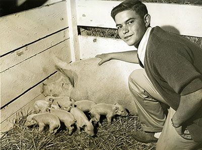 A boy poses with a sow and piglets
