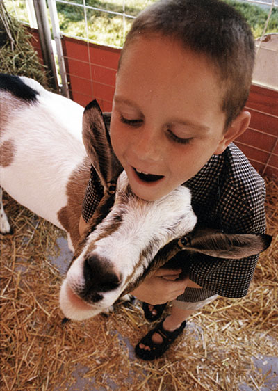 A boy hugs a goat