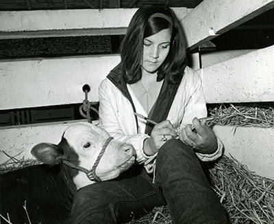 A girl writes in a notepad while a calf looks on