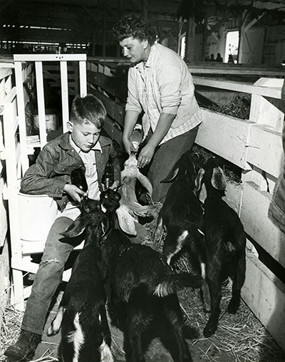 A boy and a woman bottle feed goat kids