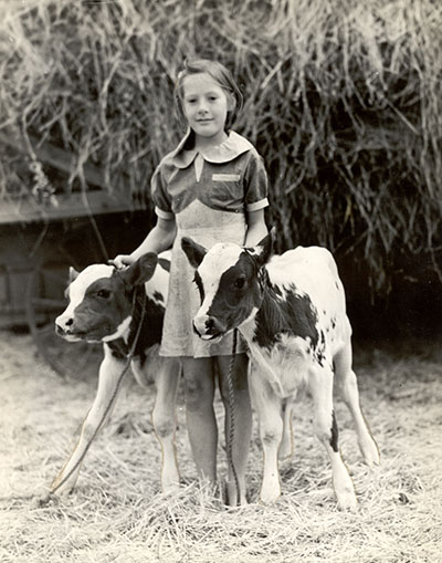 A girl shows two calves