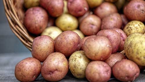 A baset of small potatoes