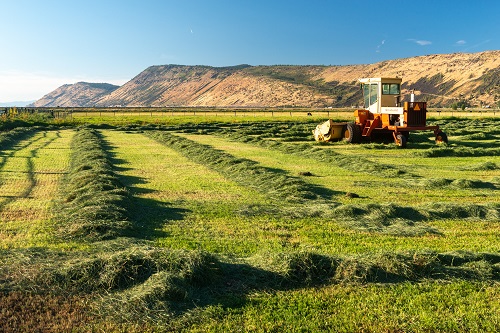 A piece of farm machinery in a field that has been harvested of grass or hay.