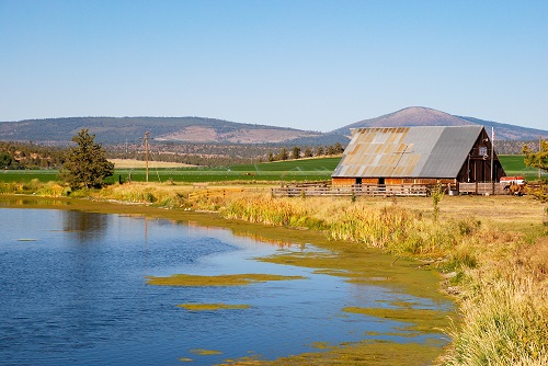 A barn with a rusted metal roof sits next to a river lined with grasses.