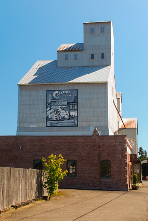 A grain elevator with a brick building in front. Clear blue sky behind.