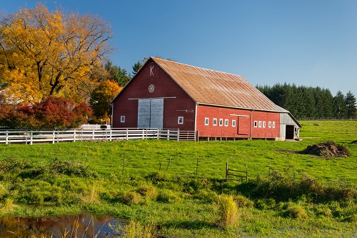 A red barn with a rusty metal roof sits in a field of green grass.