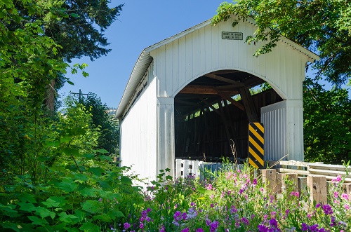 A covered bridge framed by deciduous trees with wildflowers blooming in front.