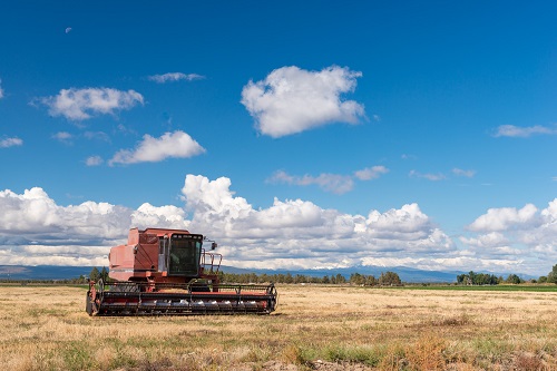 A combine harvester in a field. Blue sky with a few puffy clouds above.