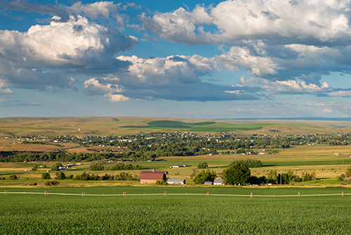 A scenic view of a vast farmland under a partly cloudy sky. The foreground shows lush green crops with scattered hay bales.