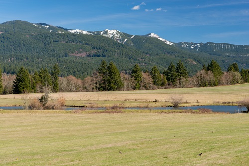 Foothills covered with evergreen forest with a bit of snow at the tips of the mountains. Grassy field below.