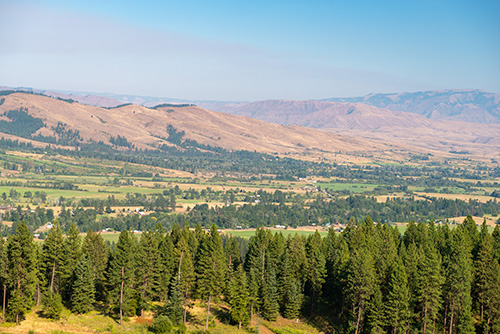 Panoramic view of a vast valley with rolling hills in the background. The foreground is dominated by dense evergreen trees, and the middle ground shows patches of agricultural fields.