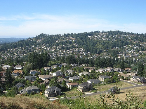 Side of a hill covered in hundreds of houses. A few fir trees interspersed.