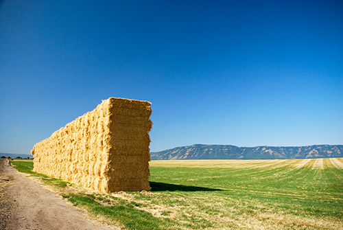 A large stack of hay bales aligned vertically beside a dirt road, with a vast field and mountain range in the background under a clear blue sky.