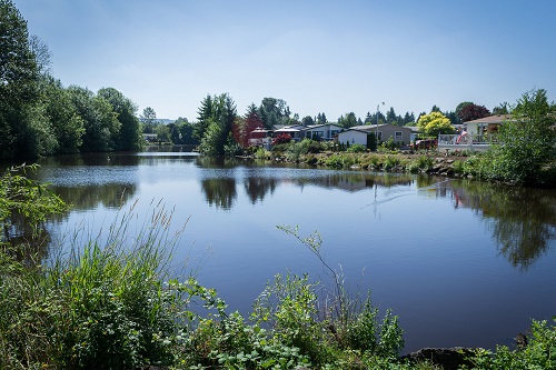 A calm lake with houses on one bank. A variety of vegitation rims the water's edge including trees, grass, bushes.