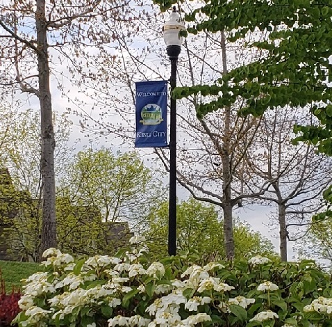 a lamp post in a park with a banner reading "Welcome to King City." A flowering shrub in front on a spring day.