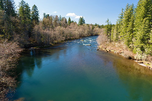 A serene river flowing through a forested area with lush green trees on both banks under a clear blue sky with some scattered clouds.