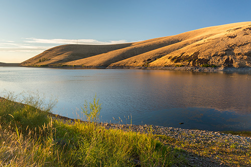 Landscape featuring a calm lake with gentle ripples, reflecting the warm hues of a hillside bathed in sunlight.