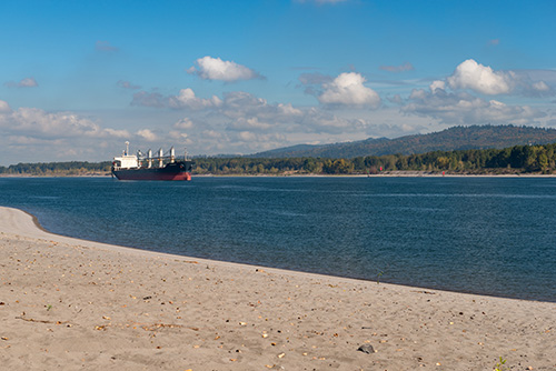 A large cargo ship is anchored in a calm blue river, with a sandy beach in the foreground and a forested hillside in the background under a partly cloudy sky.