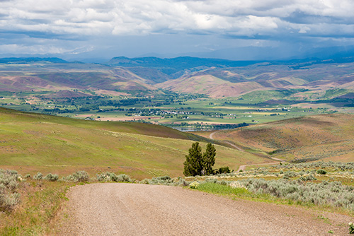 A scenic view of a valley with rolling hills under a cloudy sky. A dirt road leads into the landscape, with sparse vegetation and a solitary tree in the foreground.