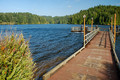 A narrow dock extends out into a lake. Evergreen trees line the shores.