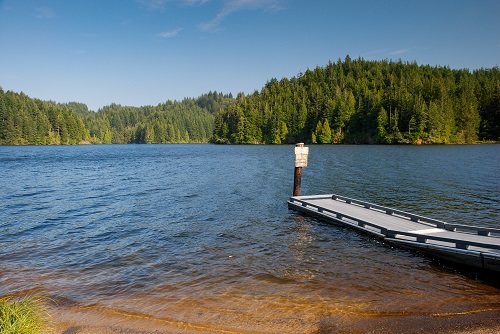 A narrow dock extends out into a lake. Evergreen trees line the shores.