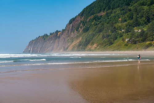 A person walking on a wet sandy beach with gentle waves coming in. In the background, there is a steep cliff covered with dense green vegetation under a clear blue sky. 