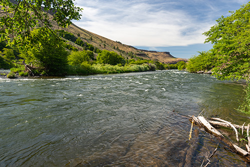 A river flowing through a natural landscape with green foliage on the banks and hills in the background. A fallen branch is partially submerged in the foreground.