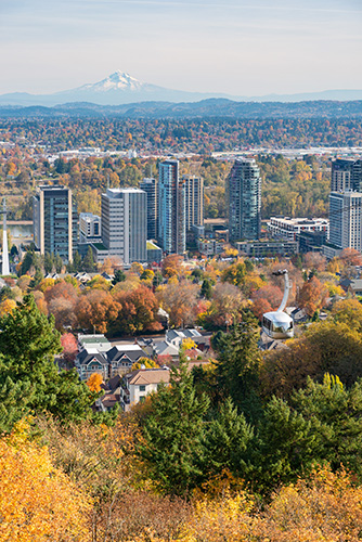 A panoramic view of a cityscape with high-rise buildings in the foreground, surrounded by lush greenery with autumn-colored trees.