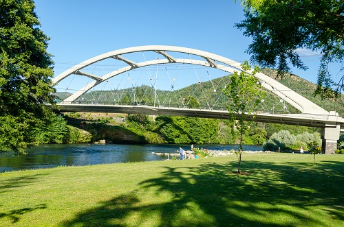 Bridge spanning the Rogue River. Main span consists of 2 steel thru-trusses. Portals are formed by arched steel members. 