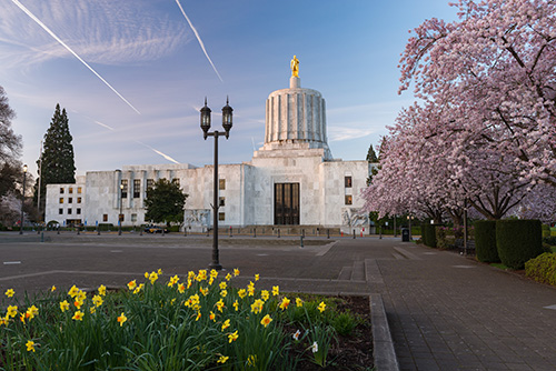 The Oregon State Capitol building in Salem during early spring. The building features a distinctive modernistic design with an illuminated gold pioneer statue on top, surrounded by blooming cherry trees and yellow daffodils in the foreground.